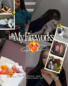 Read more about the article My Fireworks