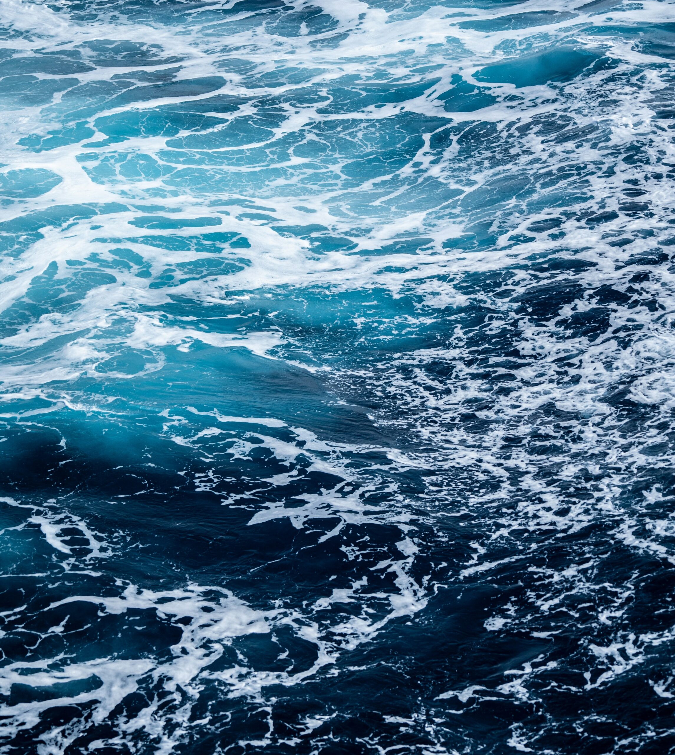 Read more about the article Love Across the Ocean